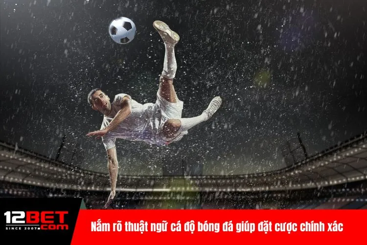 Nắm rõ thuật ngữ cá độ bóng đá giúp đặt cược chính xác trong mọi kèo