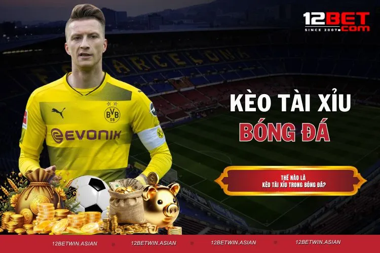 Kèo tài xỉu bóng đá - Kinh nghiệm bắt kèo cực hay từ dân chơi