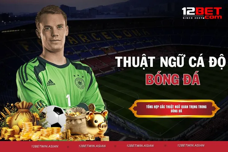 Thuật Ngữ Cá Độ Bóng Đá Giúp Người Chơi Đọc Kèo Chuẩn