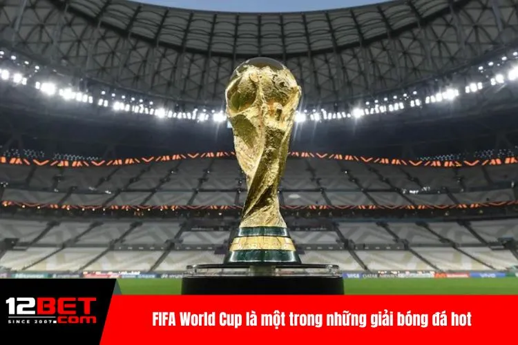 FIFA World Cup là một trong những giải bóng đá hot nhất hành tinh