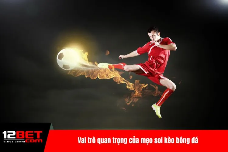 Vai trò quan trọng của mẹo soi kèo bóng đá